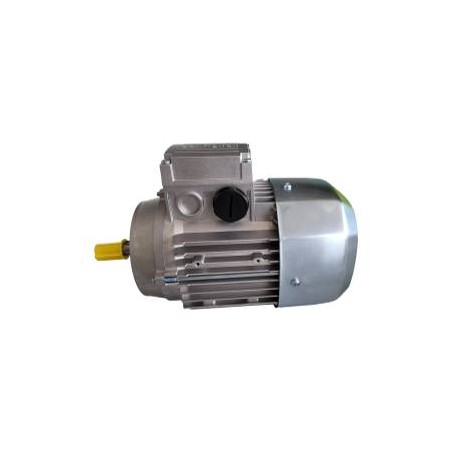 Motor for conveyor belt reducer